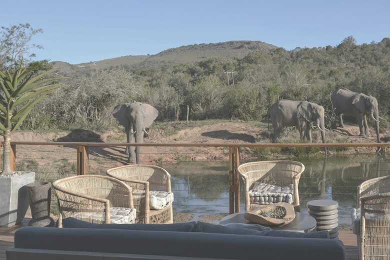 Posada Barefoot Addo Elephant Lodge