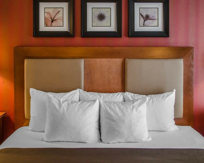 Hotel Quality Inn Riverfront