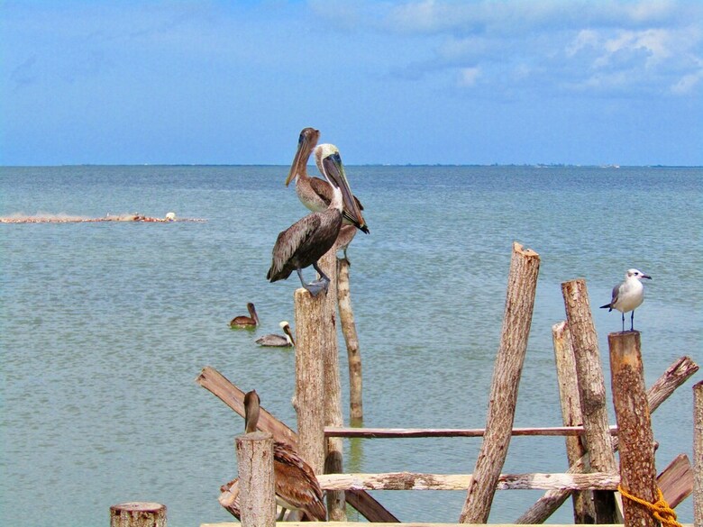 Hotel La Puerta Azul Beachfront - Adults Only