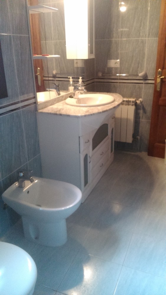 Apartamentos La Mina de Vi�on