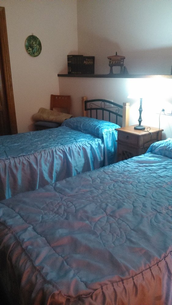 Apartamentos La Mina de Vi�on