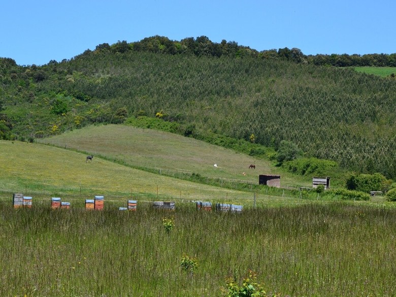 Cabanes Tr�sors de Campagne