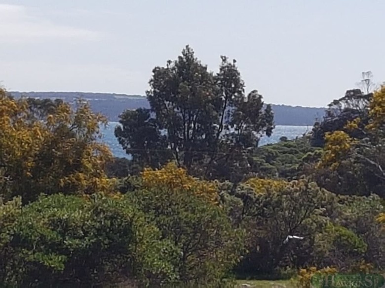 Gilligan's Kangaroo Island