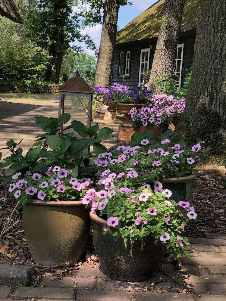 Bed & Breakfast Hof Van Eersel