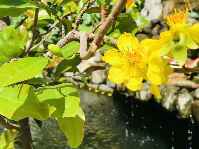 Lagi 1001 Nights Hotel