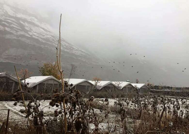 Hotel Tih Buckwheat Root Camp - Turtuk