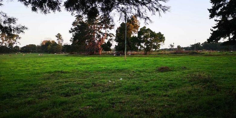 Tsitsikamma Sunrise Caravan Park