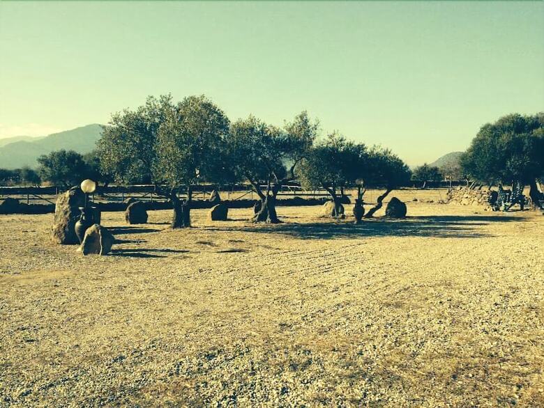 Agroturismo Agriturismo Iloghe