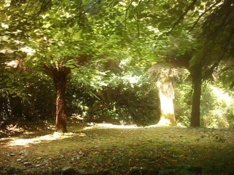 Rineen Wellness Centre
