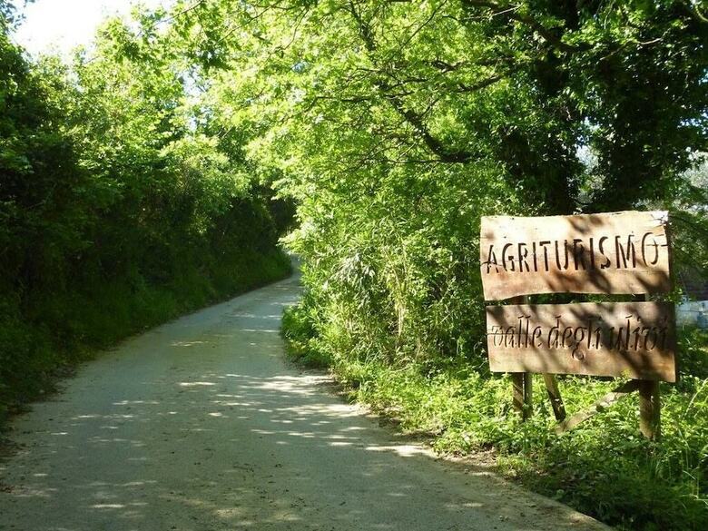 Agroturismo Agriturismo Valle Degli Ulivi