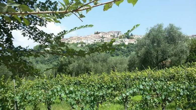 Agroturismo Agriturismo Valle Degli Ulivi