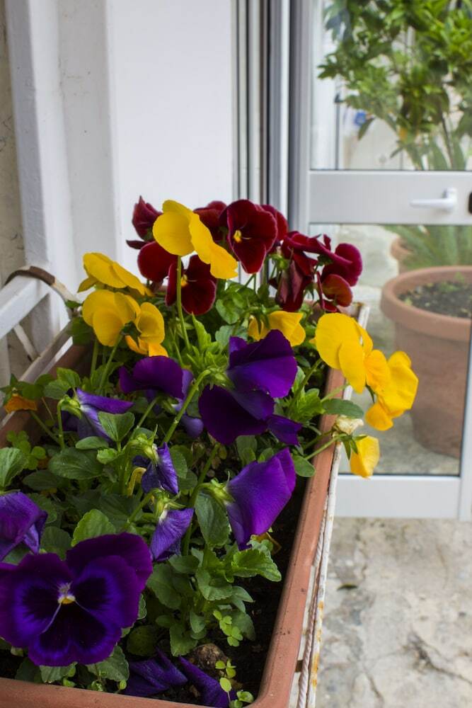 Apartamento I Giardini Di Edicart