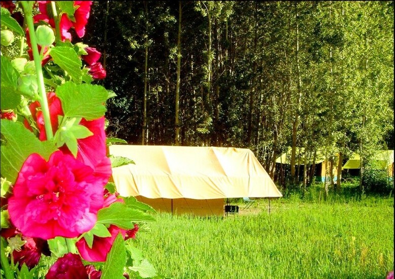 Nubra Organic Retreat - Hunder