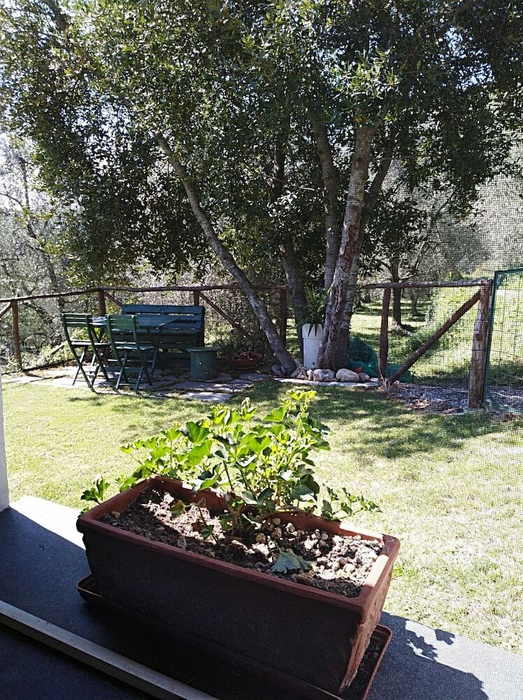 Agroturismo Agriturismo C� Do Diao