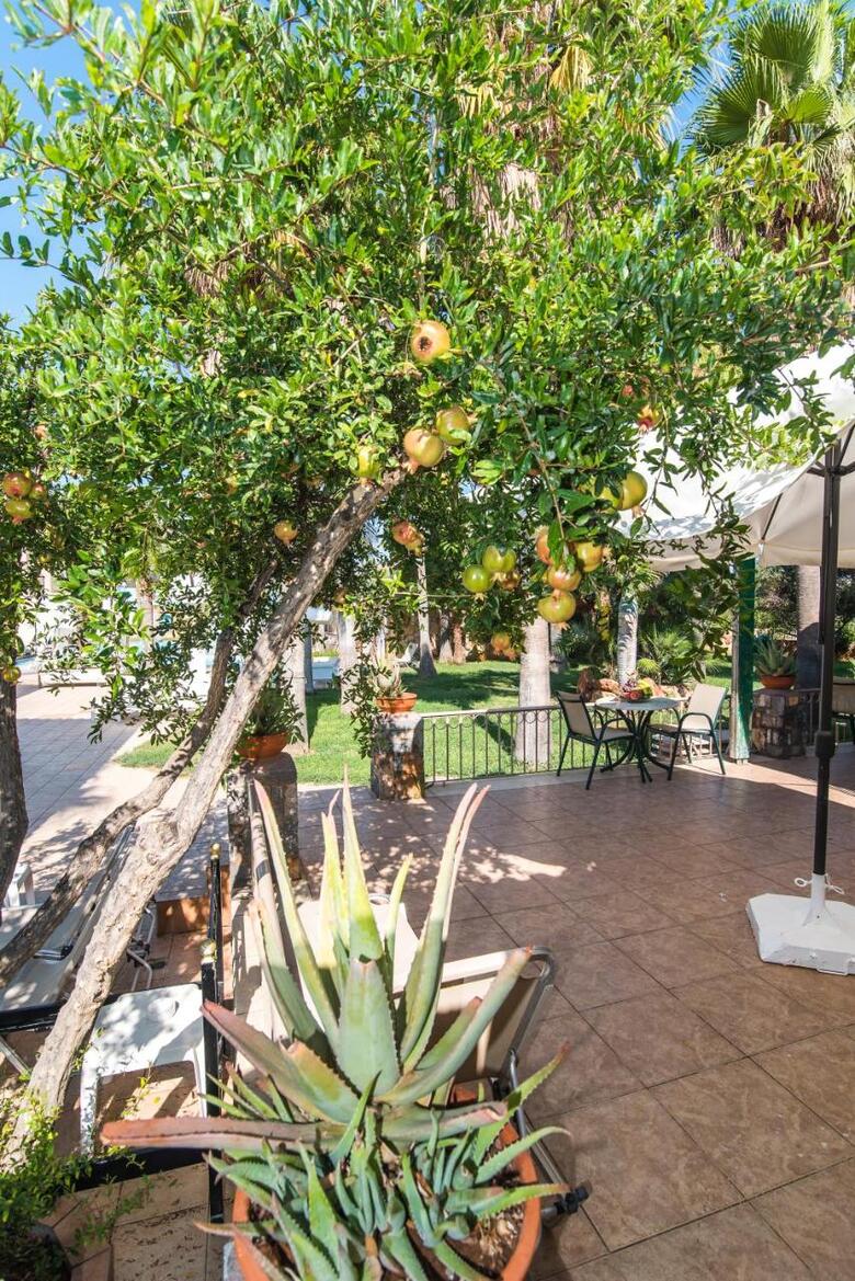 Hotel Oasis Studios
