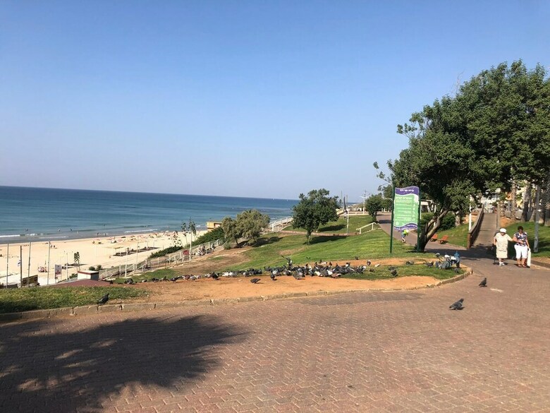 Hotel Sea Line From R&a Group
