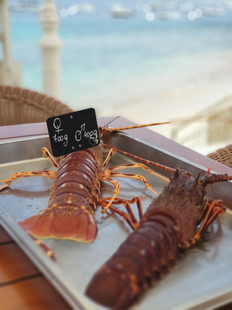 Hotel H�tel U Paradisu