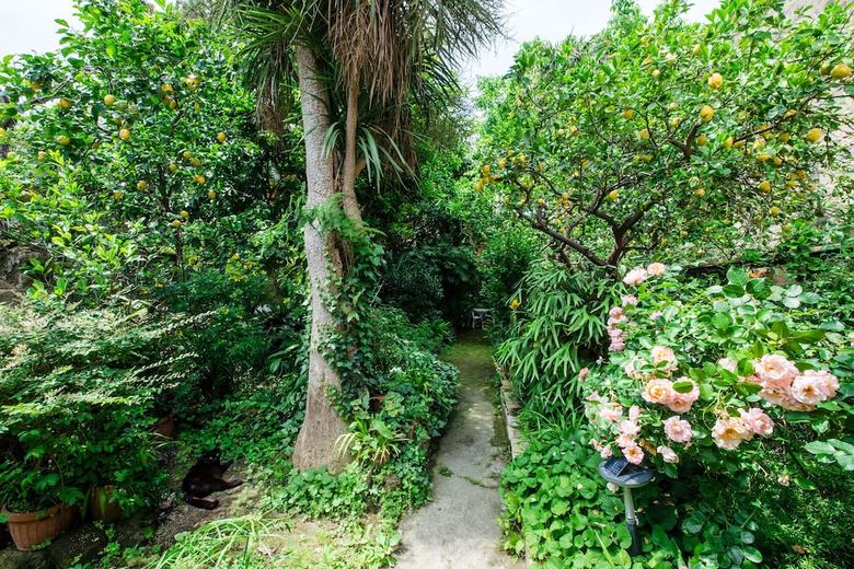 Apartamento Il Giardino Di Aranci E Limoni