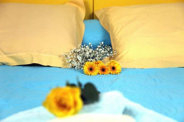 Bed & Breakfast Domaine Du Siestou