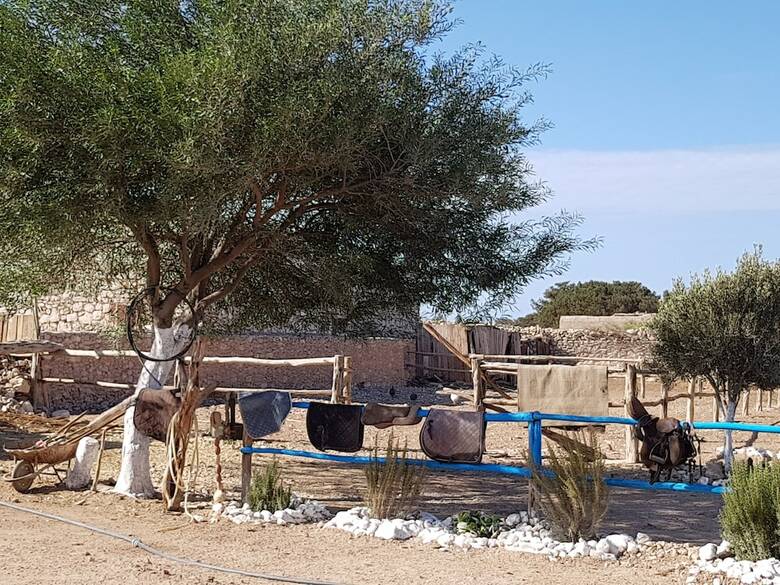 Agroturismo Ranch de Sidi Kaouki