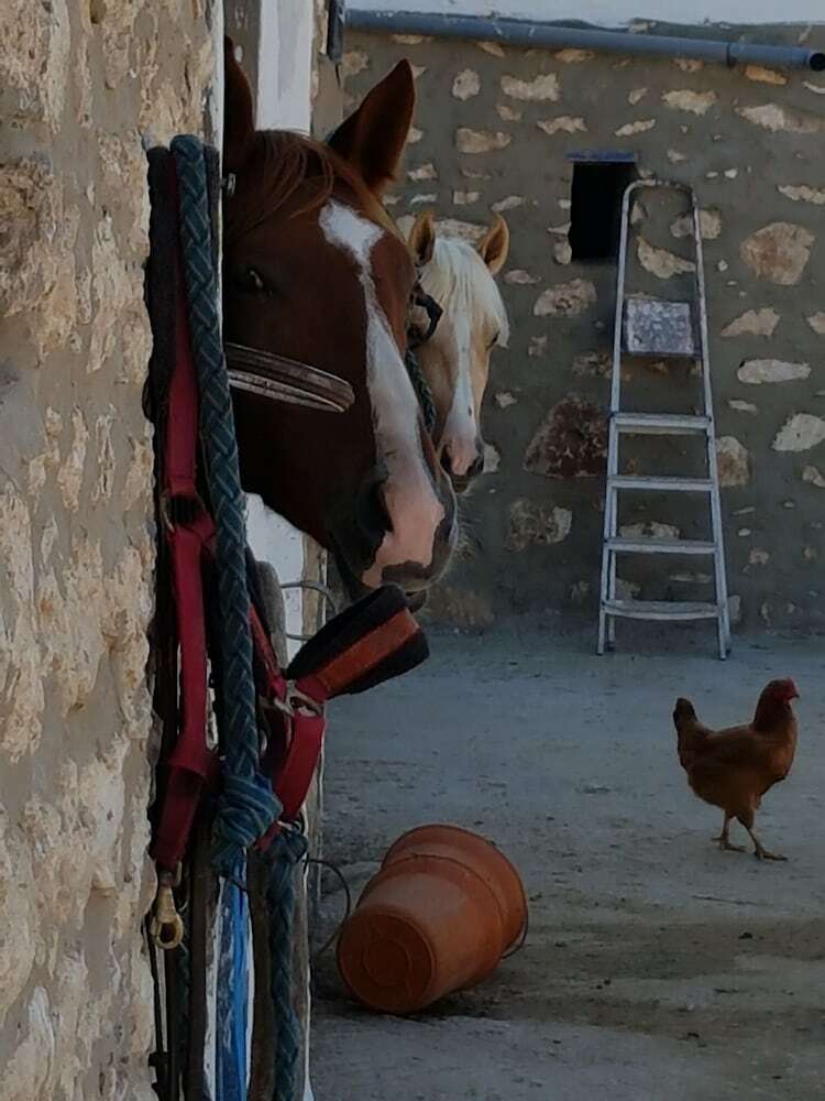 Agroturismo Ranch de Sidi Kaouki