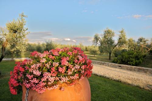 Agroturismo Agriturismo San Rocco