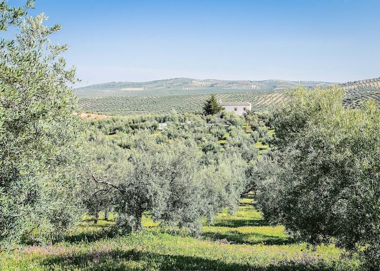 Agroturismo Ecol�gico El Cortijillo