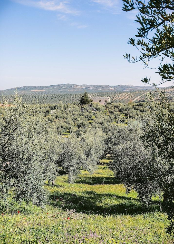 Agroturismo Ecol�gico El Cortijillo
