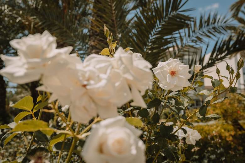 Hotel Boutique Hort de Nal
