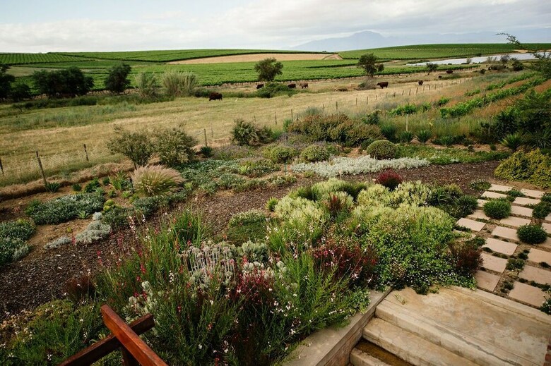 Hotel Vineyard Views Country House