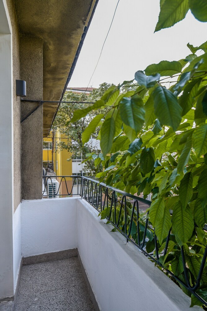 Fm Luxury 1-bdr Apartment - Rose