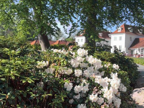 Hotel Rungstedgaard