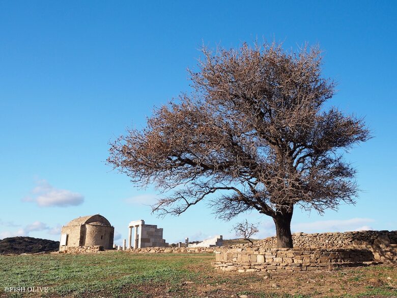 Hotel Ayiopetra Exclusive Getaways