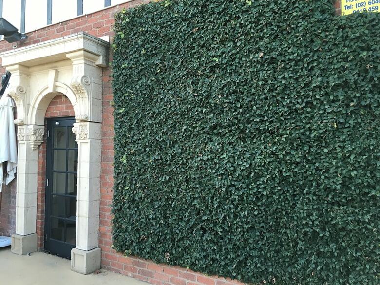 Hotel Albury Manor House