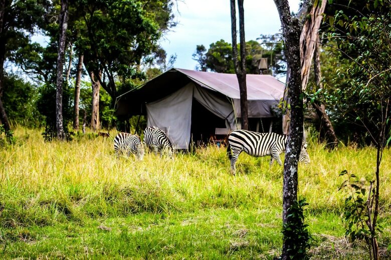 Serengeti Savannah Camps