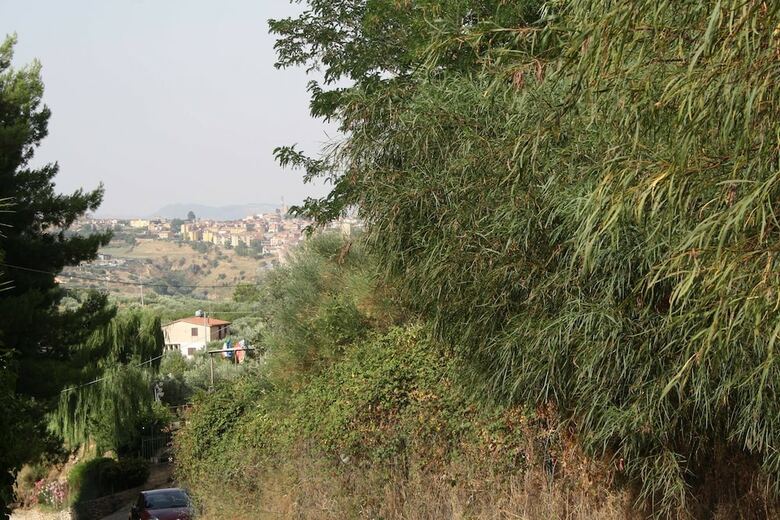 B&B Borgo Pileri