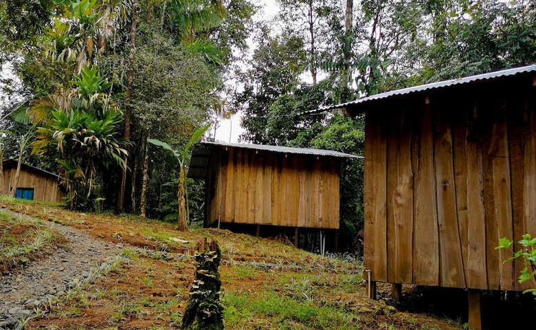 Cabana Citronela Lodge Corcovado