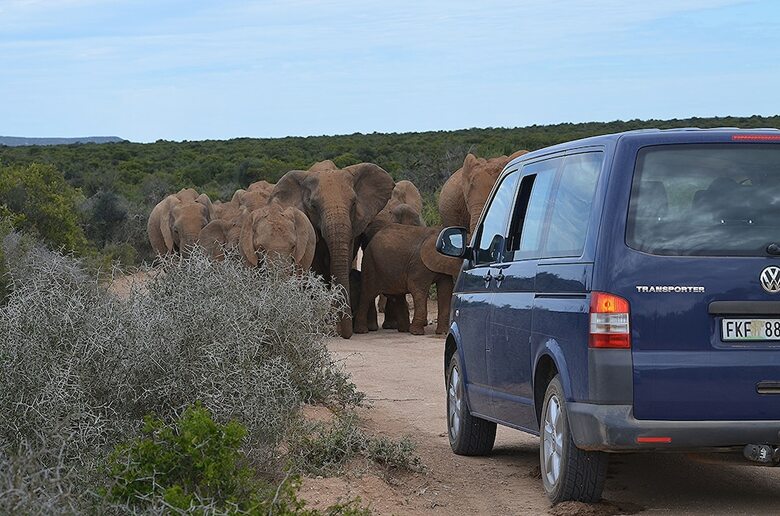 Bed & Breakfast Valley Bushveld Country Lodge