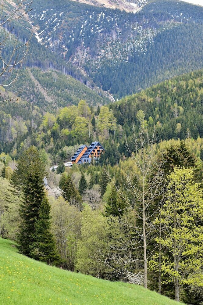Luxury Apartments Adelka