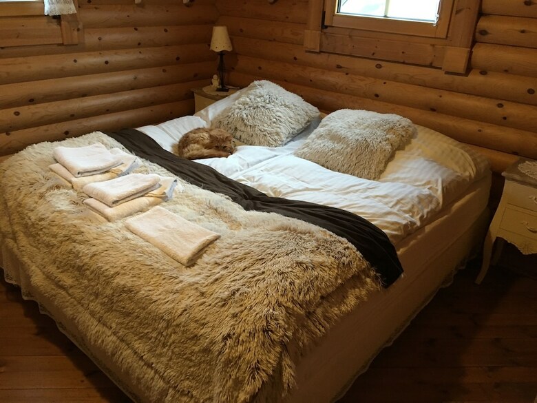 Log Cabin At White River