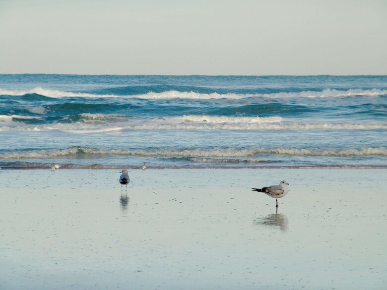 Hotel Hampton Inn Daytona Shores - Oceanfront