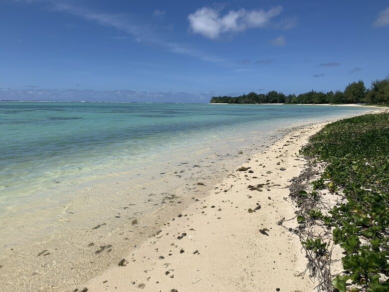 Panama Apartments At Rarotonga