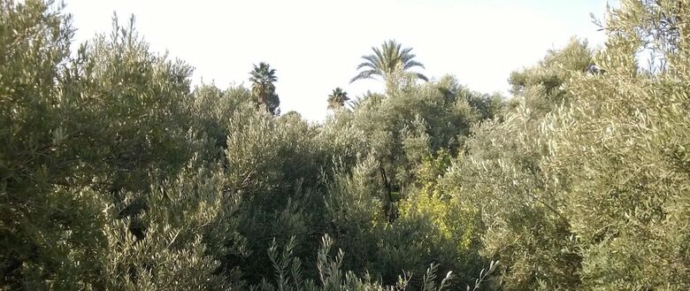 Hotel Maison Boughdira