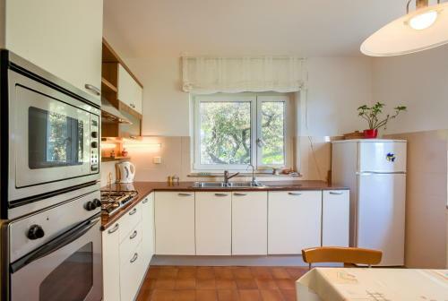 Apartments Frlan