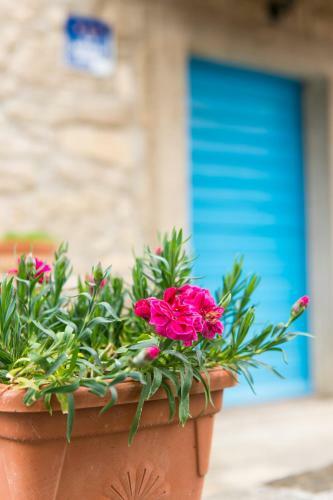 Villa House Vera