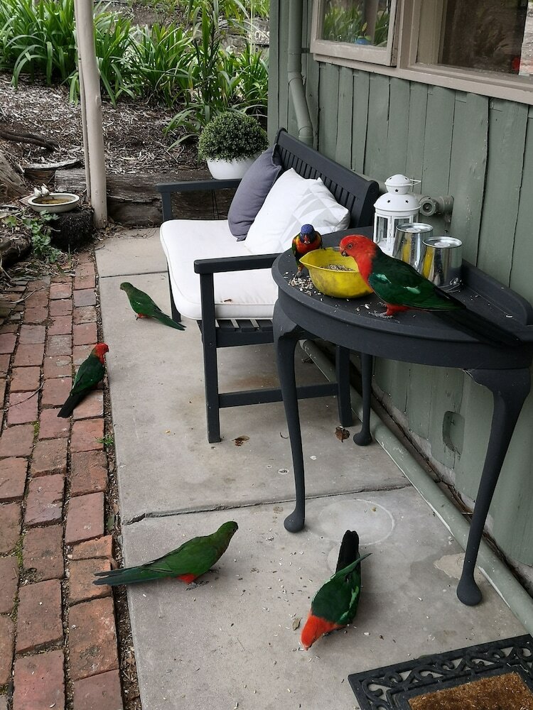 Kalimna Woods Cottages