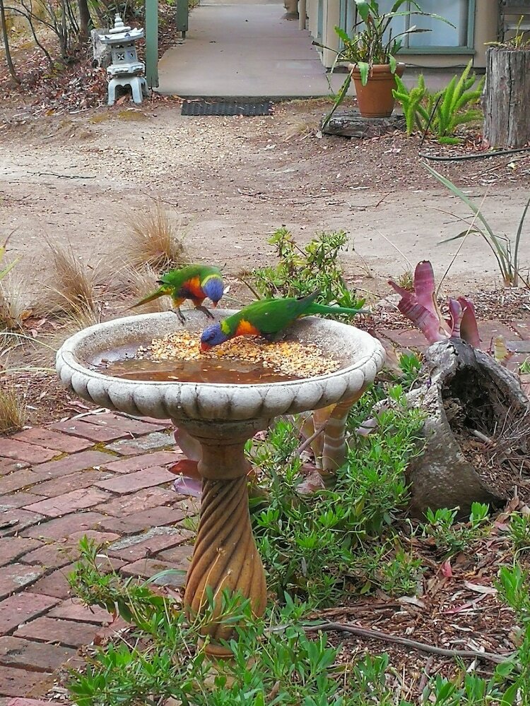 Kalimna Woods Cottages