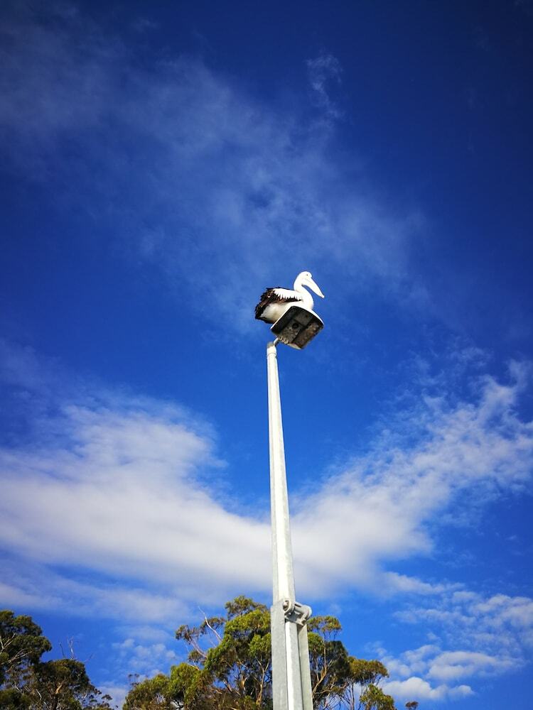 Kalimna Woods Cottages