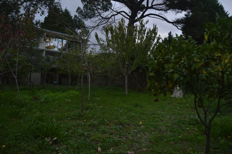 Hostal Circle Surfcamp - Porto Surf House Hostel