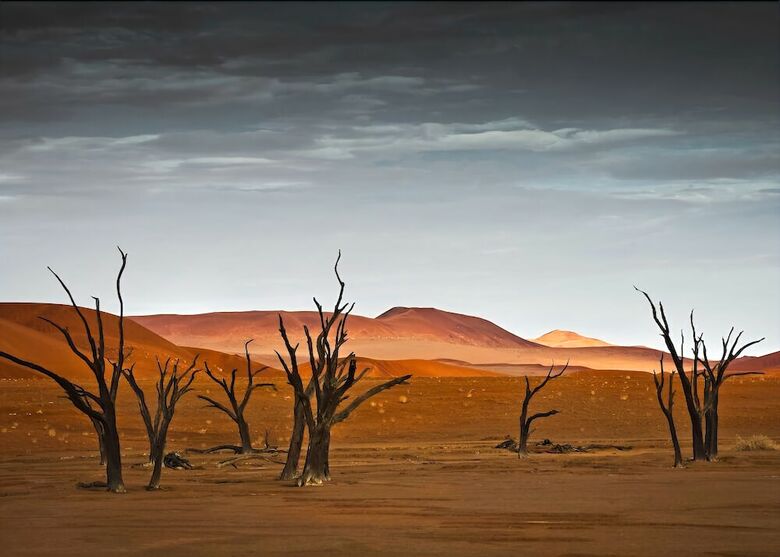 Posada Kwessie Dunes